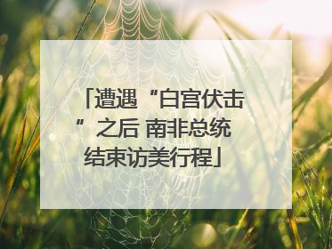 遭遇“白宫伏击”之后 南非总统结束访美行程