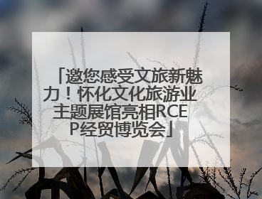 邀您感受文旅新魅力！怀化文化旅游业主题展馆亮相RCEP经贸博览会