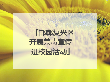 邯郸复兴区开展禁毒宣传进校园活动