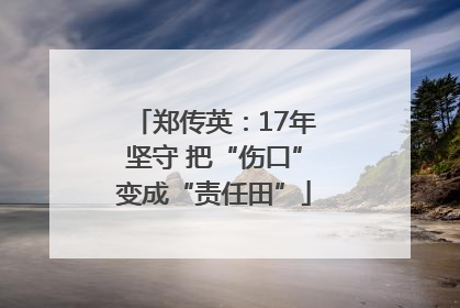 郑传英：17年坚守 把“伤口”变成“责任田”