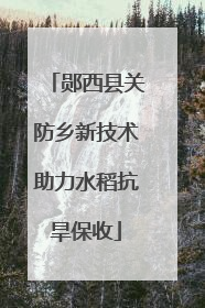 郧西县关防乡新技术助力水稻抗旱保收
