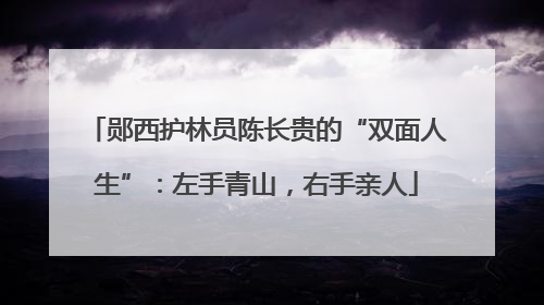 郧西护林员陈长贵的“双面人生”：左手青山，右手亲人