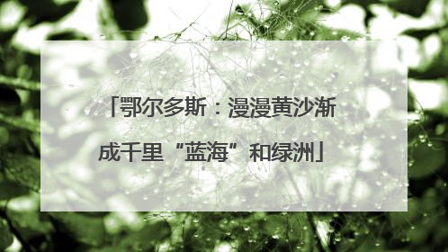 鄂尔多斯：漫漫黄沙渐成千里“蓝海”和绿洲