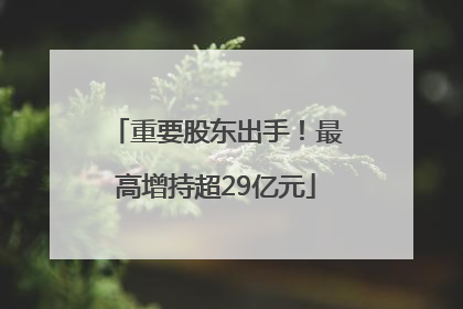 重要股东出手！最高增持超29亿元
