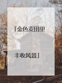 金色麦田里丰收风景