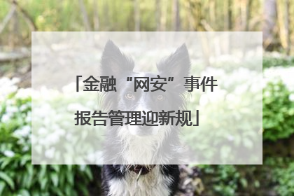 金融“网安”事件报告管理迎新规