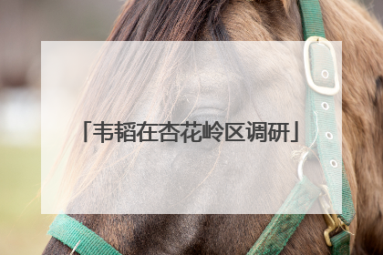 韦韬在杏花岭区调研