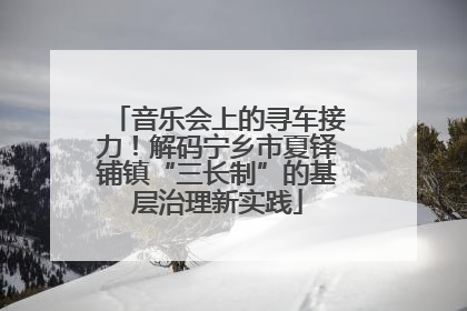 音乐会上的寻车接力！解码宁乡市夏铎铺镇“三长制”的基层治理新实践