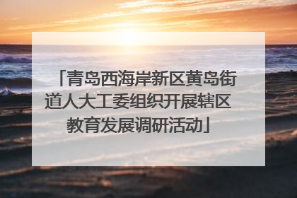 青岛西海岸新区黄岛街道人大工委组织开展辖区教育发展调研活动