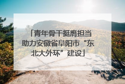 青年骨干挺膺担当 助力安徽省阜阳市“东北大外环”建设