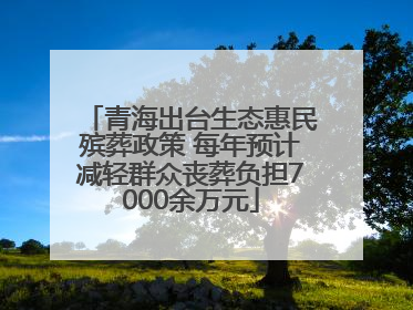 青海出台生态惠民殡葬政策 每年预计减轻群众丧葬负担7000余万元