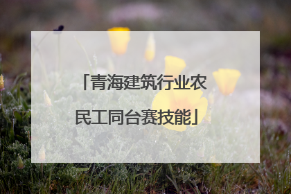 青海建筑行业农民工同台赛技能