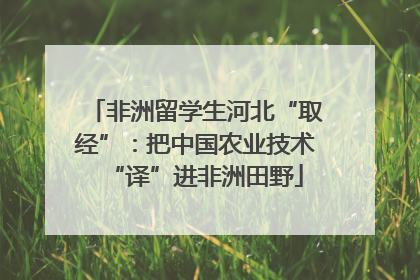 非洲留学生河北“取经”：把中国农业技术“译”进非洲田野