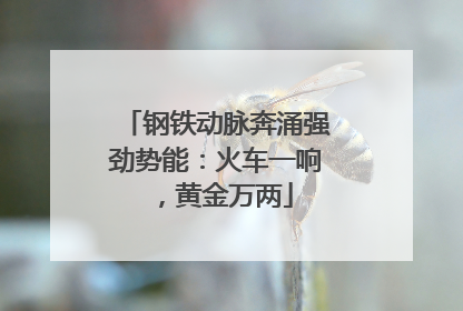 钢铁动脉奔涌强劲势能：火车一响，黄金万两