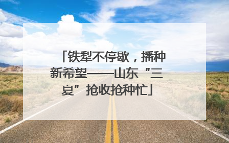 铁犁不停歇，播种新希望——山东“三夏”抢收抢种忙