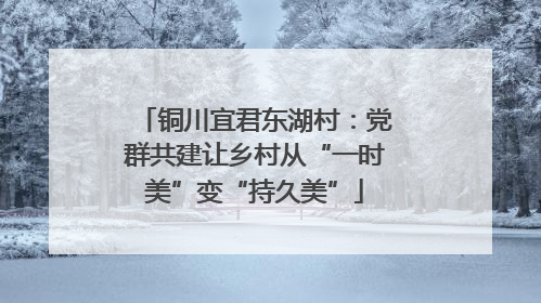 铜川宜君东湖村：党群共建让乡村从“一时美”变“持久美”