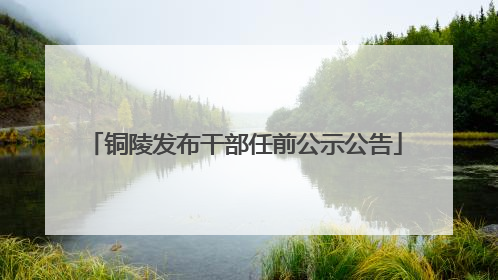 铜陵发布干部任前公示公告