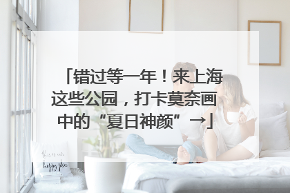 错过等一年！来上海这些公园，打卡莫奈画中的“夏日神颜”→