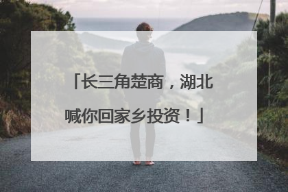 长三角楚商，湖北喊你回家乡投资！