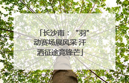 长沙南：“羽”动赛场展风采 汗洒征途竞锋芒