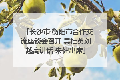 长沙市·衡阳市合作交流座谈会召开 吴桂英刘越高讲话 朱健出席