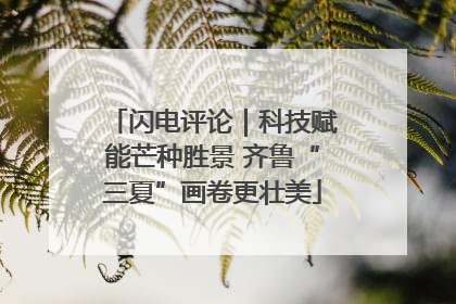 闪电评论｜科技赋能芒种胜景 齐鲁“三夏”画卷更壮美