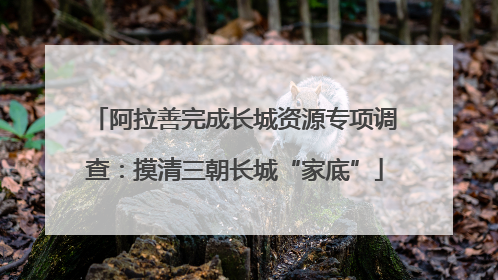 阿拉善完成长城资源专项调查：摸清三朝长城“家底”