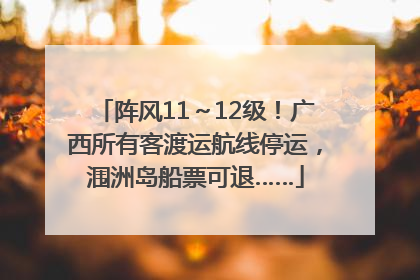 阵风11～12级！广西所有客渡运航线停运，涠洲岛船票可退……