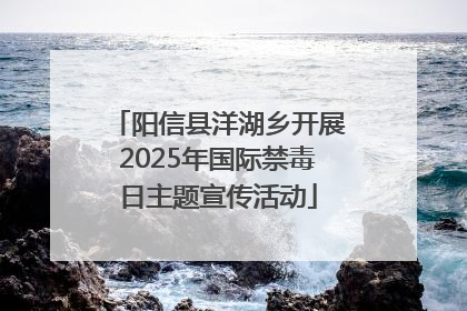 阳信县洋湖乡开展2025年国际禁毒日主题宣传活动