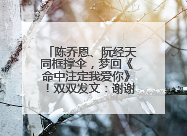 陈乔恩、阮经天同框撑伞，梦回《命中注定我爱你》！双双发文：谢谢我们都没变