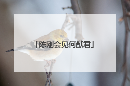 陈刚会见何猷君