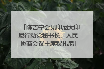 陈吉宁会见印尼大印尼行动党秘书长、人民协商会议主席穆扎尼
