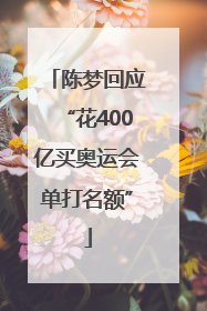陈梦回应“花400亿买奥运会单打名额”