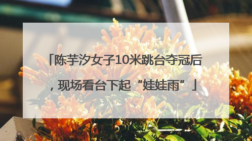 陈芋汐女子10米跳台夺冠后，现场看台下起“娃娃雨”