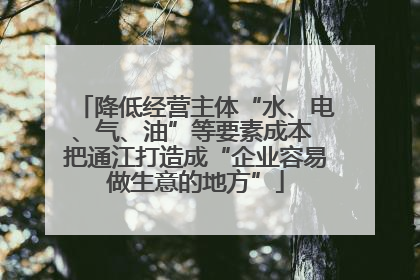 降低经营主体“水、电、气、油”等要素成本 把通江打造成“企业容易做生意的地方”
