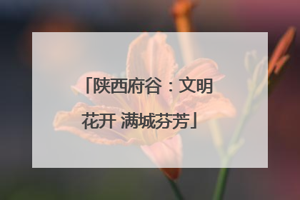 陕西府谷：文明花开 满城芬芳