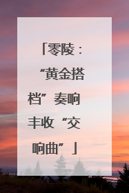 零陵：“黄金搭档”奏响丰收“交响曲”