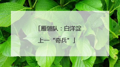 雁翎队：白洋淀上一“奇兵”