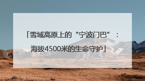 雪域高原上的“宁波门巴”：海拔4500米的生命守护