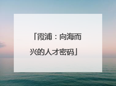 霞浦：向海而兴的人才密码