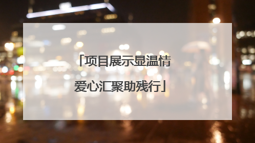 项目展示显温情 爱心汇聚助残行
