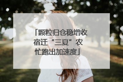 颗粒归仓稳增收 宿迁“三夏”农忙跑出加速度