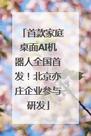 首款家庭桌面AI机器人全国首发！北京亦庄企业参与研发