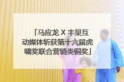 马应龙 X 丰巢互动媒体斩获第十六届虎啸奖联合营销类铜奖