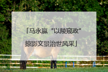 马永嬴“以陵窥政” 掠影文景治世风采
