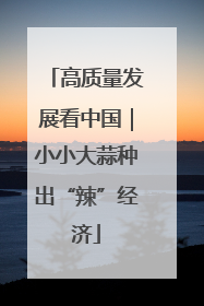 高质量发展看中国｜小小大蒜种出“辣”经济