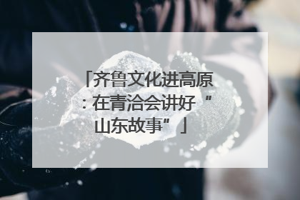 齐鲁文化进高原：在青洽会讲好“山东故事”