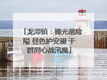 龙潭镇：锄光凿险隘 昼色护安澜 干群同心战汛魔