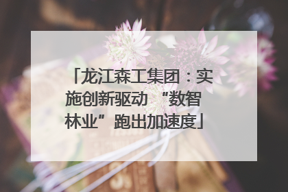 龙江森工集团：实施创新驱动 “数智林业”跑出加速度