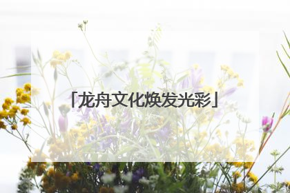龙舟文化焕发光彩